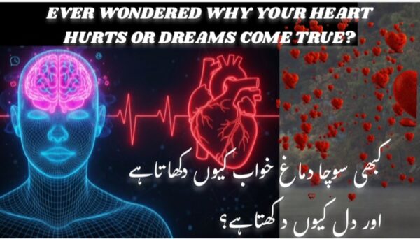 Think You Know Your Brain The Truth Will Blow Your Mind