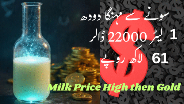 The Secret Behind Blood-Regenerating Drugs. Hidden in Rat Milk!