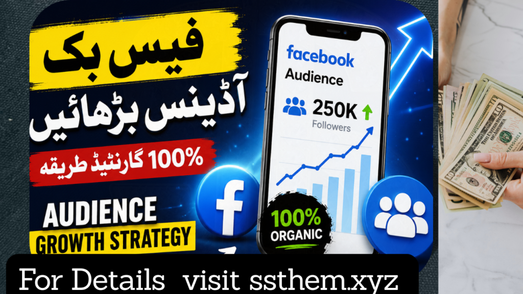 Facebook Audience Growth Strategy
